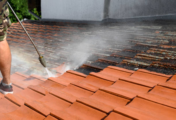 Best Affordable Pressure Washing  in Edinburg, IL