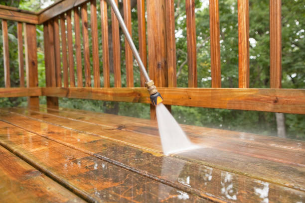 Best Affordable Power Washing  in Edinburg, IL