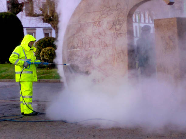 Best Sidewalk Pressure Washing  in Edinburg, IL
