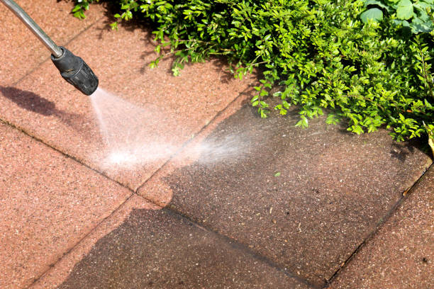 Best Commercial Building Pressure Washing  in Edinburg, IL
